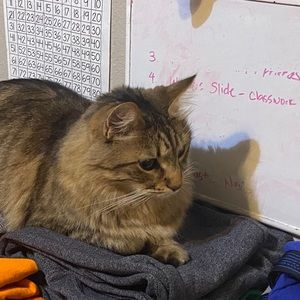 Meet your Posher, Matt